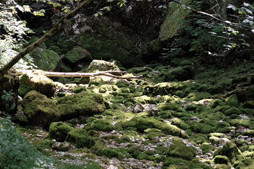 Flussbett, 2003